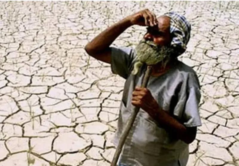 प्यासी धरती को पानी की दरकार,बारिश न होने से किसान परेशान