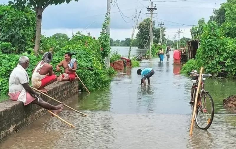बाढ़ और बारिश ने धान के कटोरे को किया बेहाल।