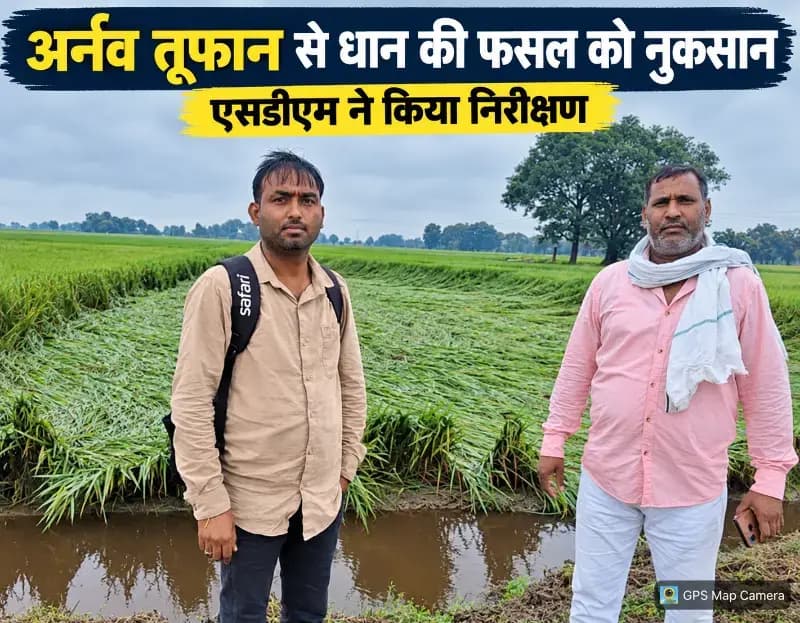 अर्नव तूफान से धान की फसल को नुकसान, एसडीएम ने किया निरीक्षण